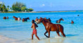 /album/fotky-barbados/barbados-jamajkanita-63-jpg/